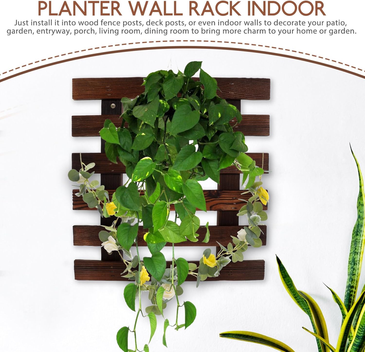 BESTOYARD 1 juego de escalera de pared, estante de pared, maceta de orquídeas, plantas de interior, macetas de interior, decoración de plantas de