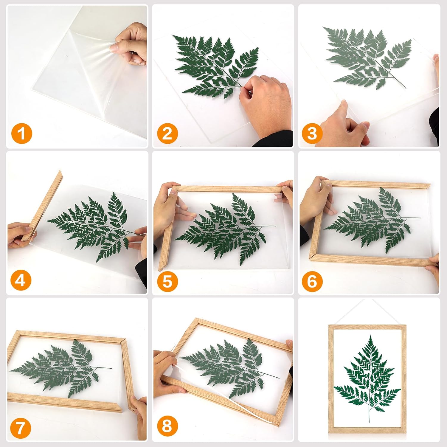 IVN Arte de pared enmarcado marco flotante de plexiglás de madera maciza colgante de 8 x 12 pulgadas con caja de regalo para flores secas prensadas,