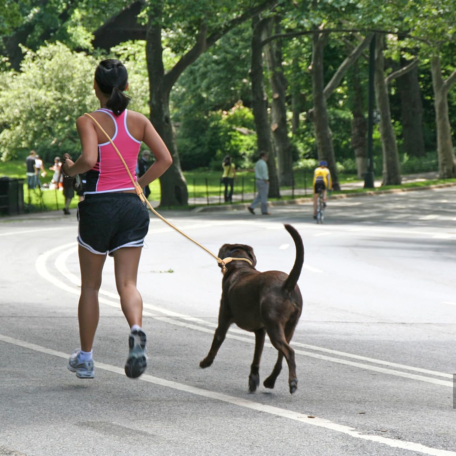 Correa de perro con asa ajustable, manos libres, correa de perro de cuerda fuerte y duradera, cómoda correa de bucle ligera para perros grandes,