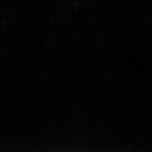 Shannon Minky Luxe Cuddle Seal Caviar, tela por yarda Shannon Minky Luxe Cuddle Seal Caviar, tela por yarda