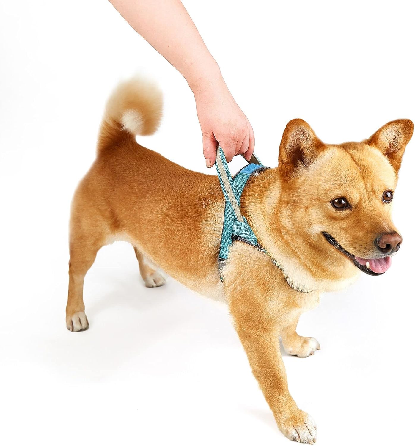 Arnés sin tirones para perro, ajustable, reflectante, transpirable, chaleco para cachorro, chaleco para perro, arnés acolchado de malla suave con