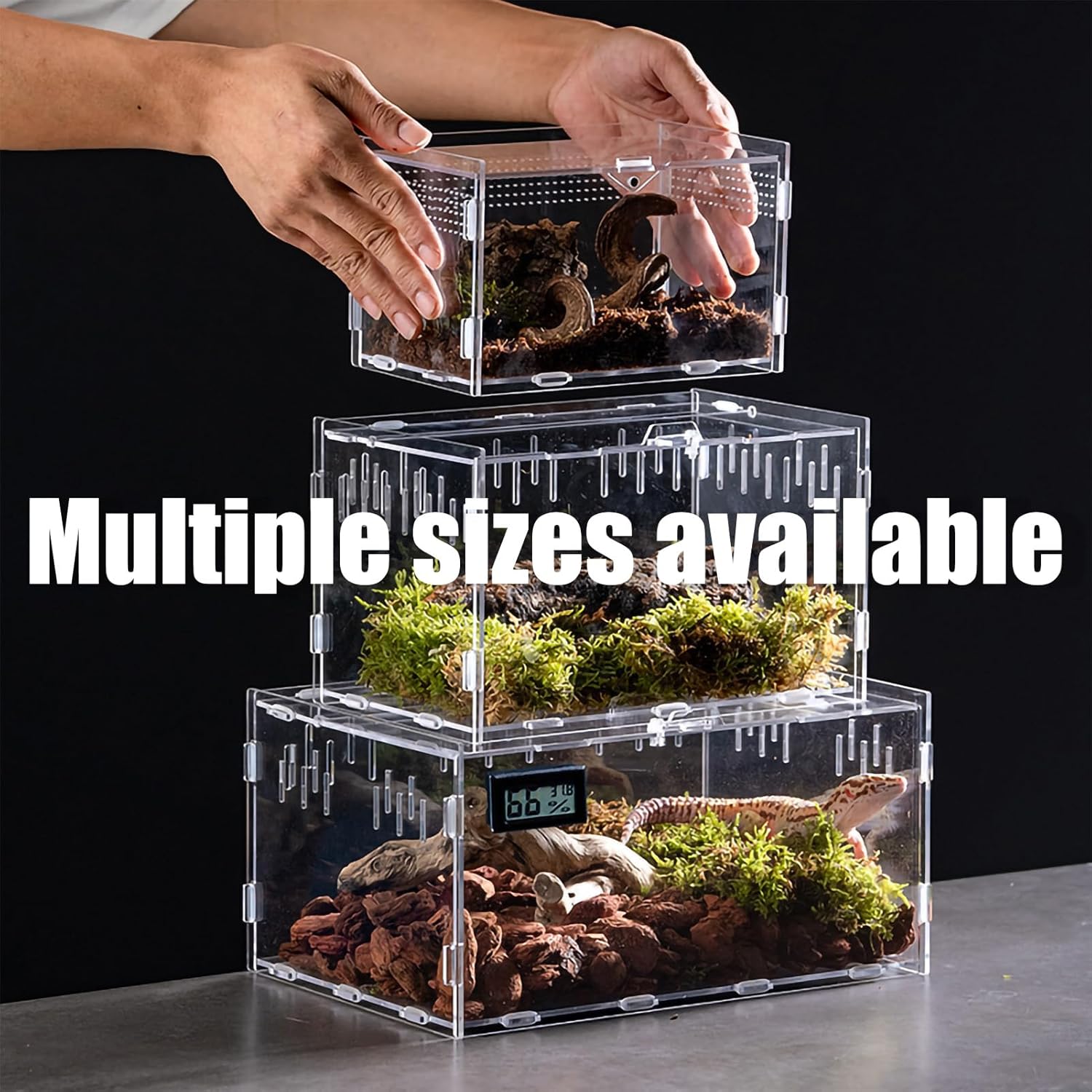Tanque de terrario de reptiles con pestillo de bloqueo (14 x 8 x 6 pulgadas), caja de alimentación de reptiles de acrílico para reptiles pequeños en