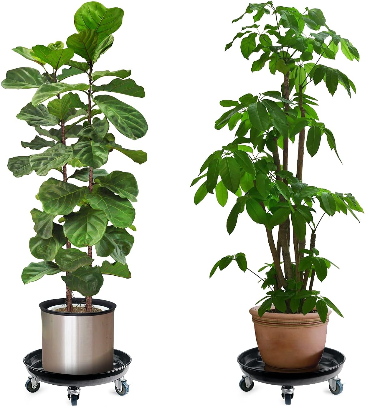 Organizador para plantas con ruedas, soporte de hierro resistente, carrito redondo para macetas para interiores y exteriores, sistema de drenaje