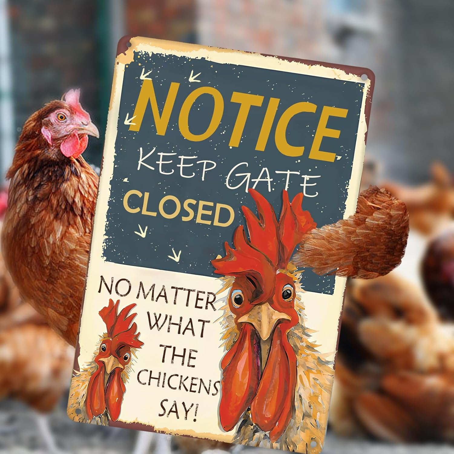 Chicken Coop Signs funny chicken signs Keep Gate Closed No Matter What The Chickens Say chicken coop decor outdoor chicken coop ideas chicken coop