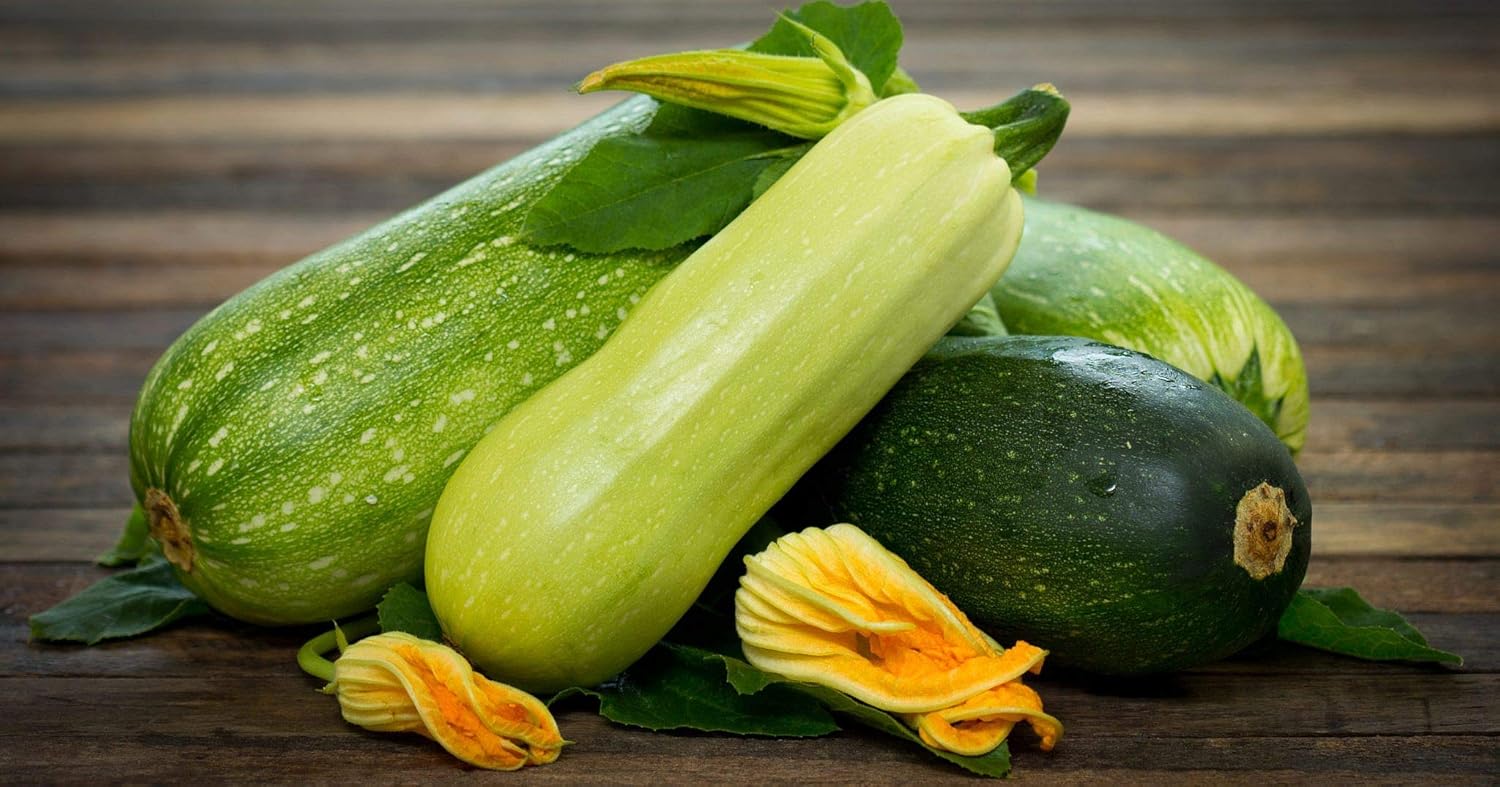 Semillas Calabacín Calabacín Calabacín Calabaza Mezcla de Verano 35 Días Rápido Heirloom Vegetal Sin OMG
