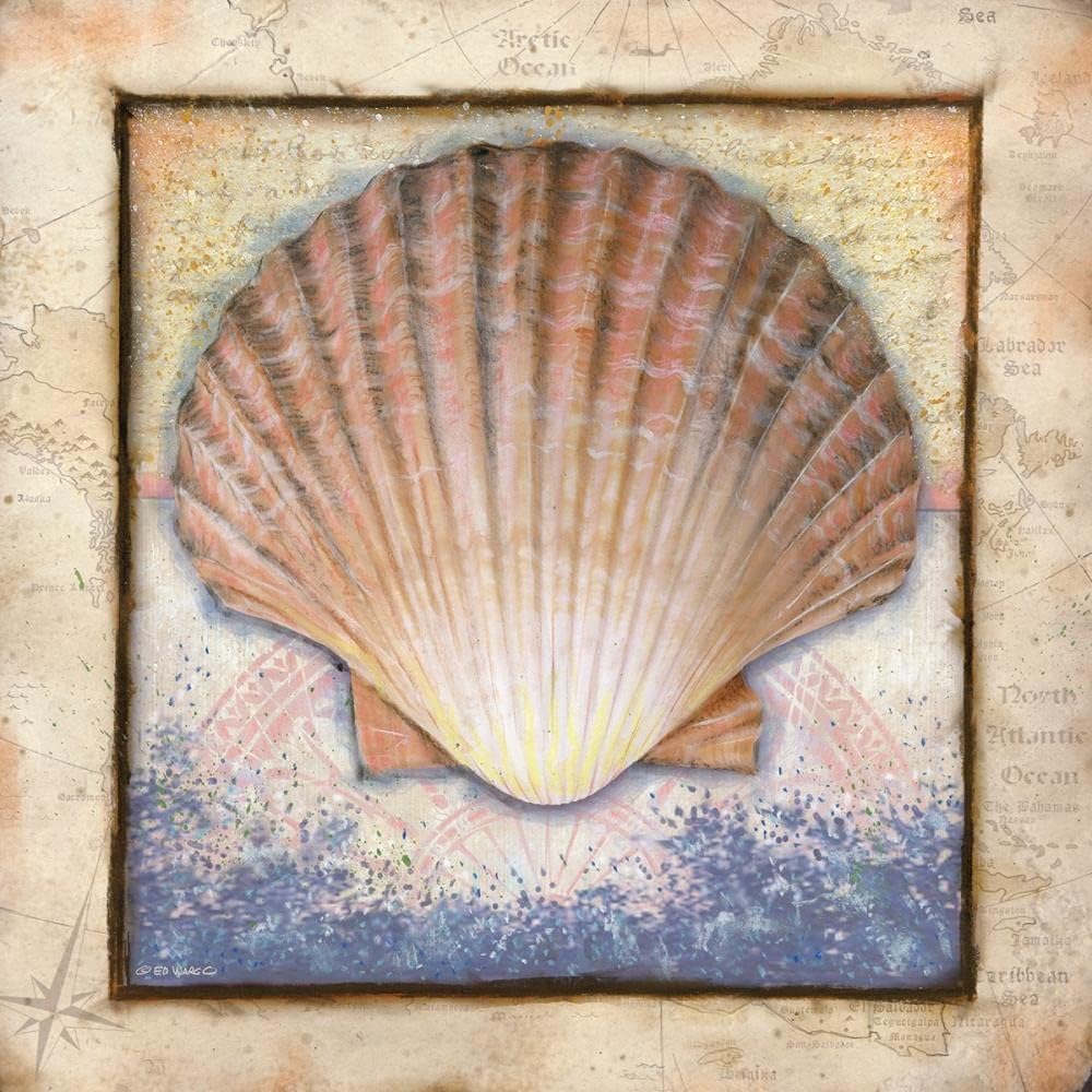 ArtDirect Shell 15×15 Gallery Wrapped Canvas Museum Art by Wargo, Ed