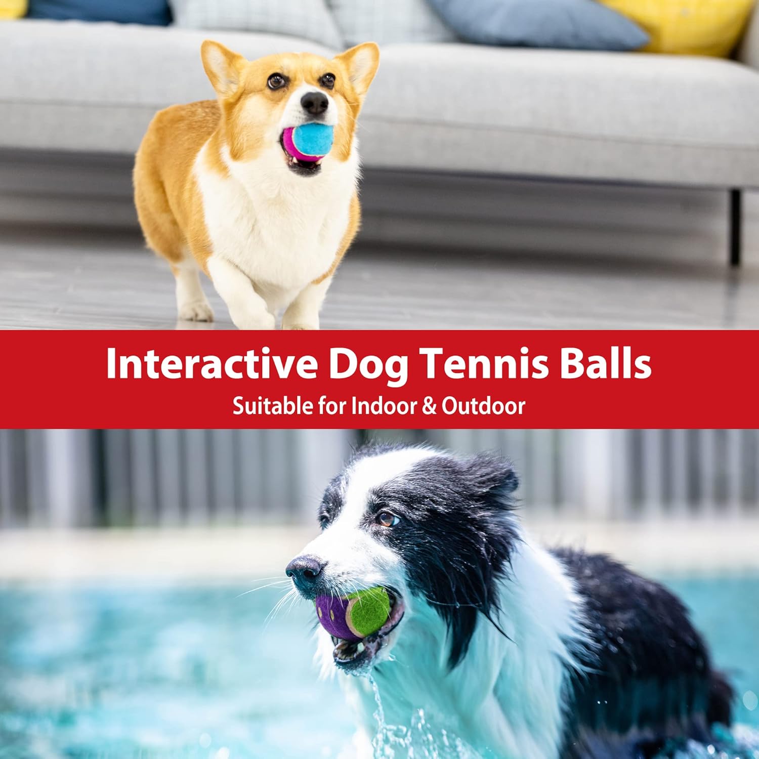 GiGwi Pelotas de tenis para perros, pelotas de tenis para perros chirriantes para ejercicio, pelotas de perro con gran capacidad de rebote de