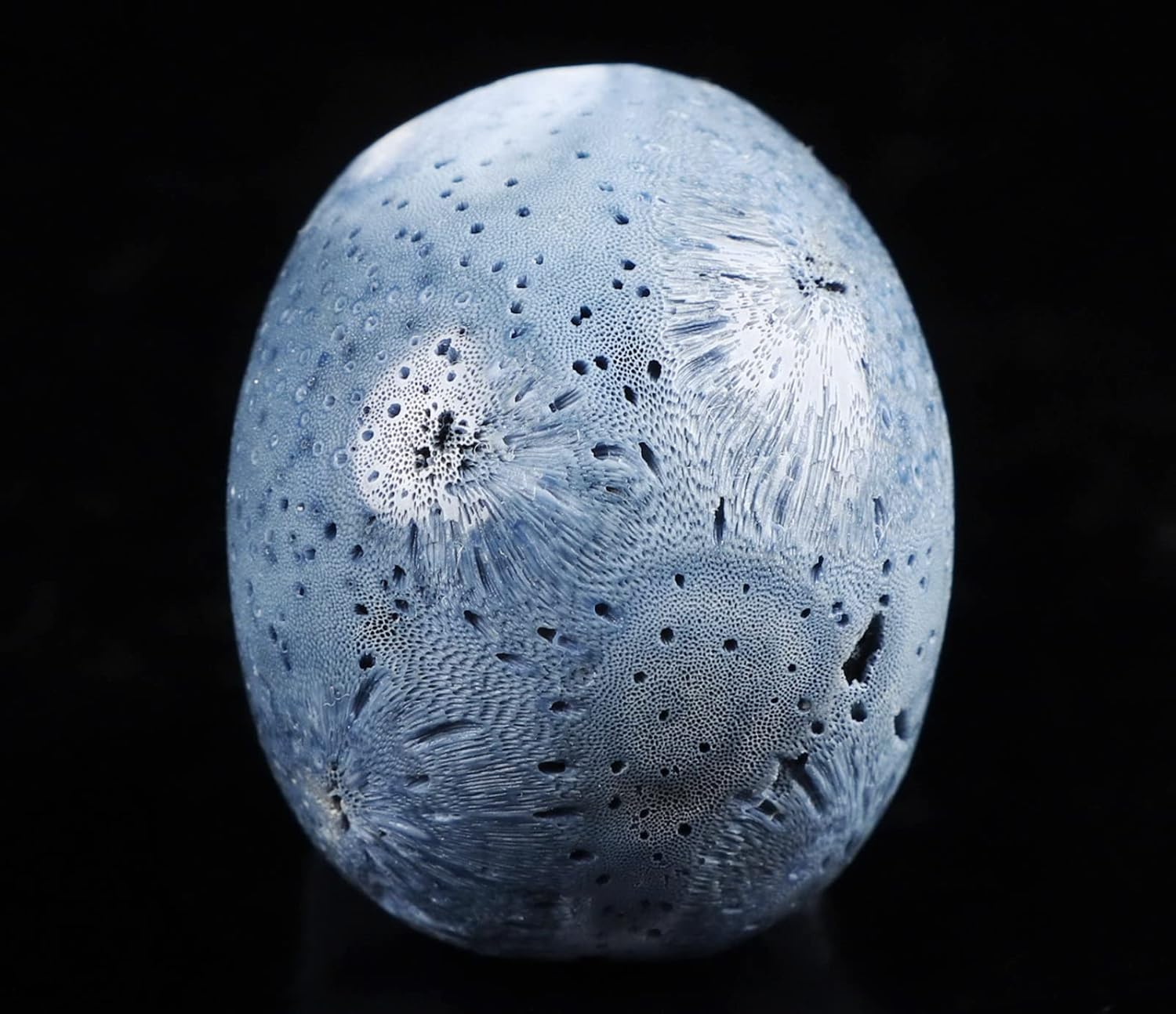 2.0 “esponja azul coral cráneo de cristal, escultura de arte de piedras preciosas talladas a mano, estatua de piedra curativa de Reiki.1388