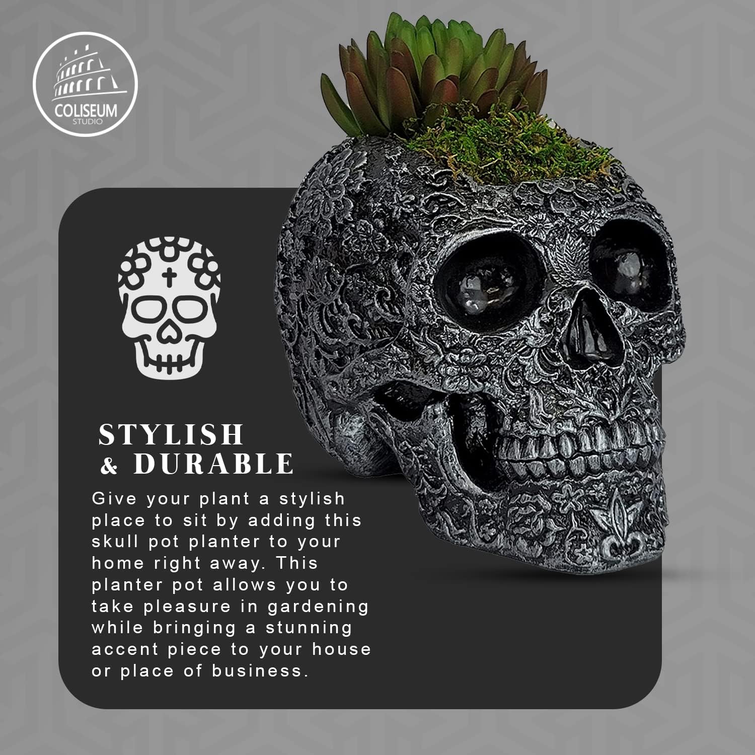 Coliseum Studio Inc Maceta de calavera  Decoración de calavera  Maceta con drenaje  Maceta de calavera  Para suculentas y cactus  Interiorexterior