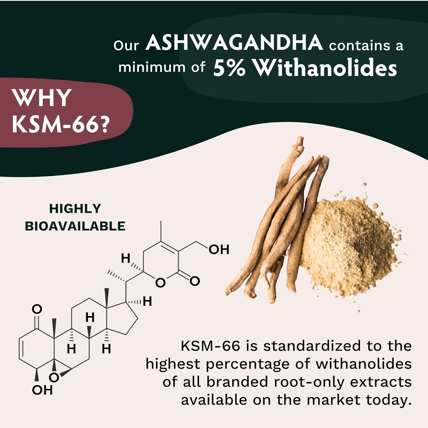 Ashwagandha KSM-66 – Gomitas para adultos, extracto de raíz orgánica pura, suplemento ayurvédico para hombres y mujeres, apoyo al estado de ánimo