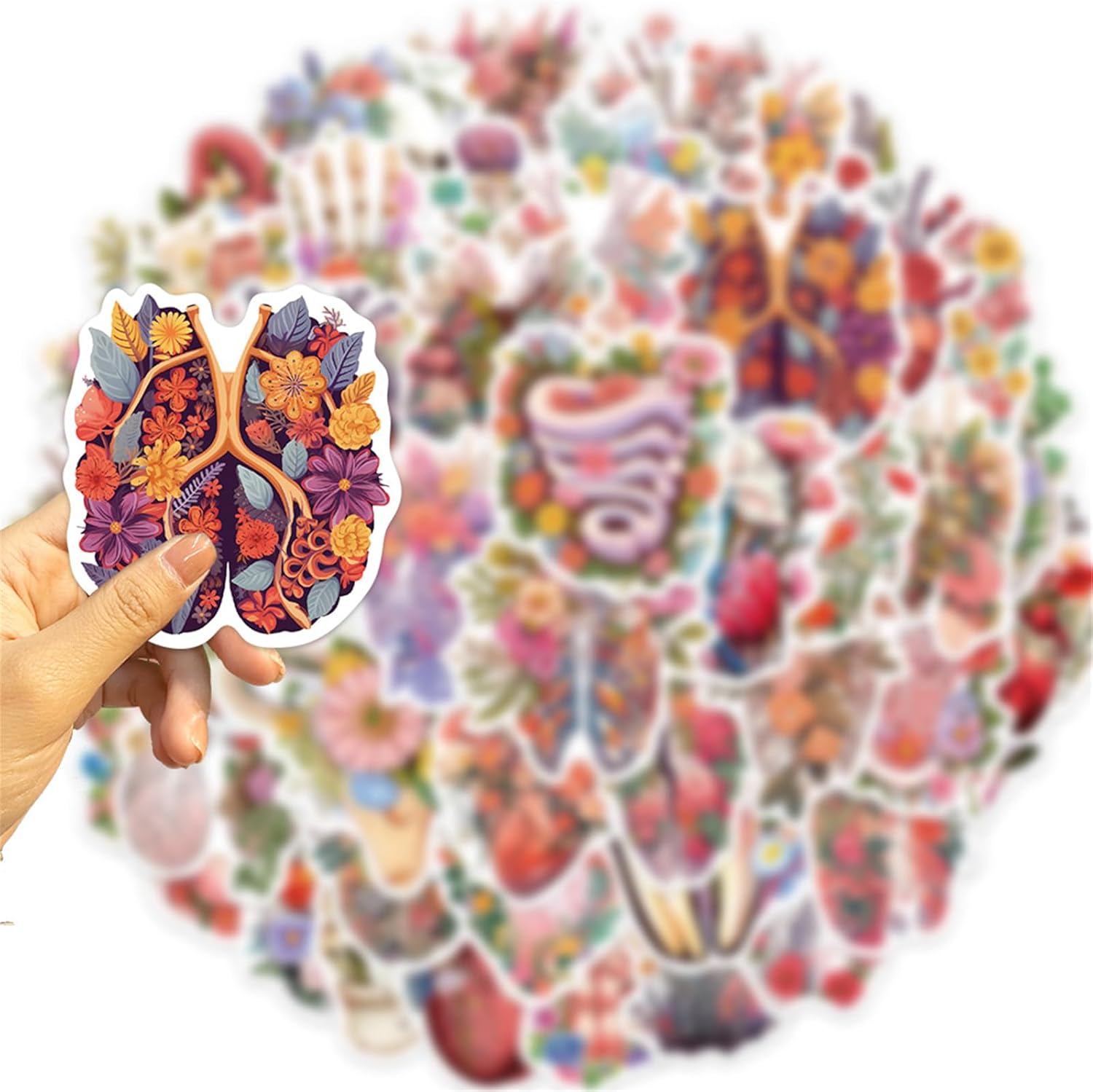 50 calcomanías de anatomía, calcomanías de anatomía humana, lindos órganos de dibujos animados con flores, paquete para niños, adolescentes,