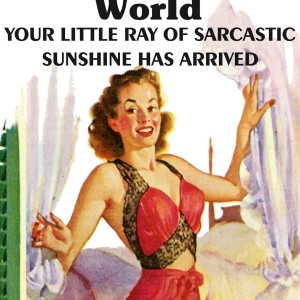 Baldfrog Images Good Morning World Your Little Ray of Sarcastic Sunshine has Arrived – Imán de nevera de 2 x 3 pulgadas, diseño vintage, regalo de Baldfrog Images Good Morning World Your Little Ray of Sarcastic Sunshine has Arrived – Imán de nevera de 2 x 3 pulgadas, diseño vintage, regalo de