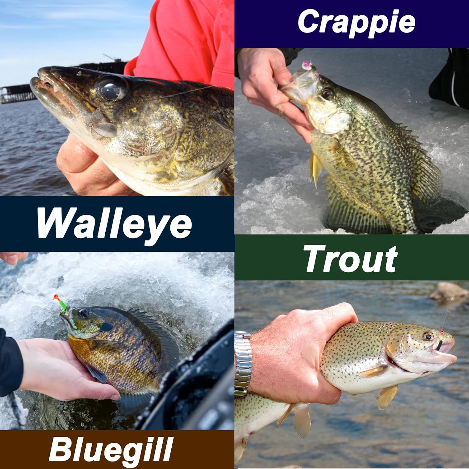 SMMYMGF Señuelos de pesca, caja de aparejos de trucha y crappie, kit de equipo de pesca en hielo, incluye cabezas de plantilla, cebos de plástico