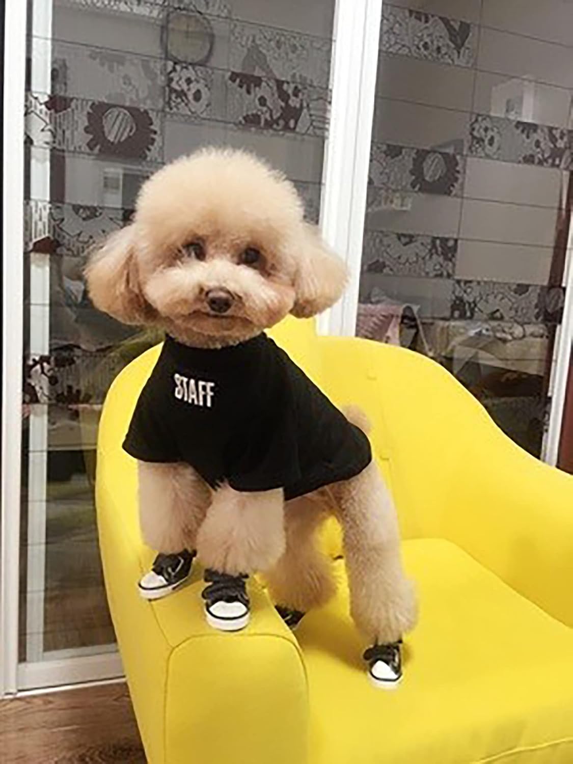 GabeFish Zapatos para perros Zapatilla de lona con velcro para mascotas, botas antideslizantes para cachorros Chihuahua, protector de patas, negro,