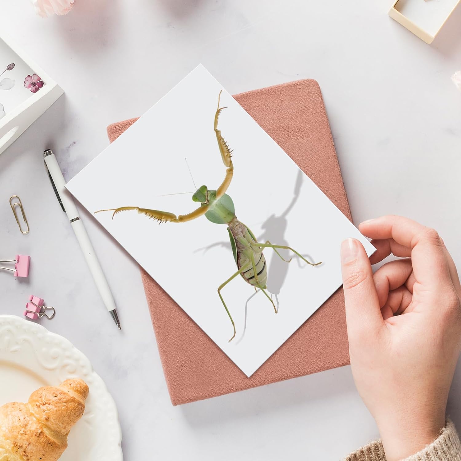 Divertida tarjeta de felicitación de mantis rezando, tarjeta de cumpleaños con arte de Mantis con cable, tarjeta de insectos para niños, amigos,