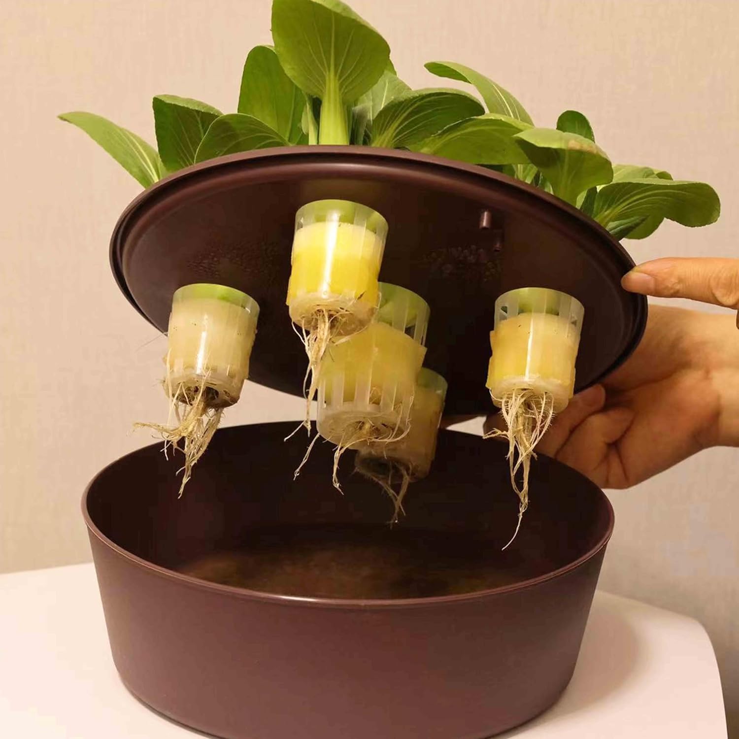 LYLEE Sistema de riego automático para plantas en maceta, paquete de 4 unidades, succión automática redonda blanca con sensor de humedad, maceta