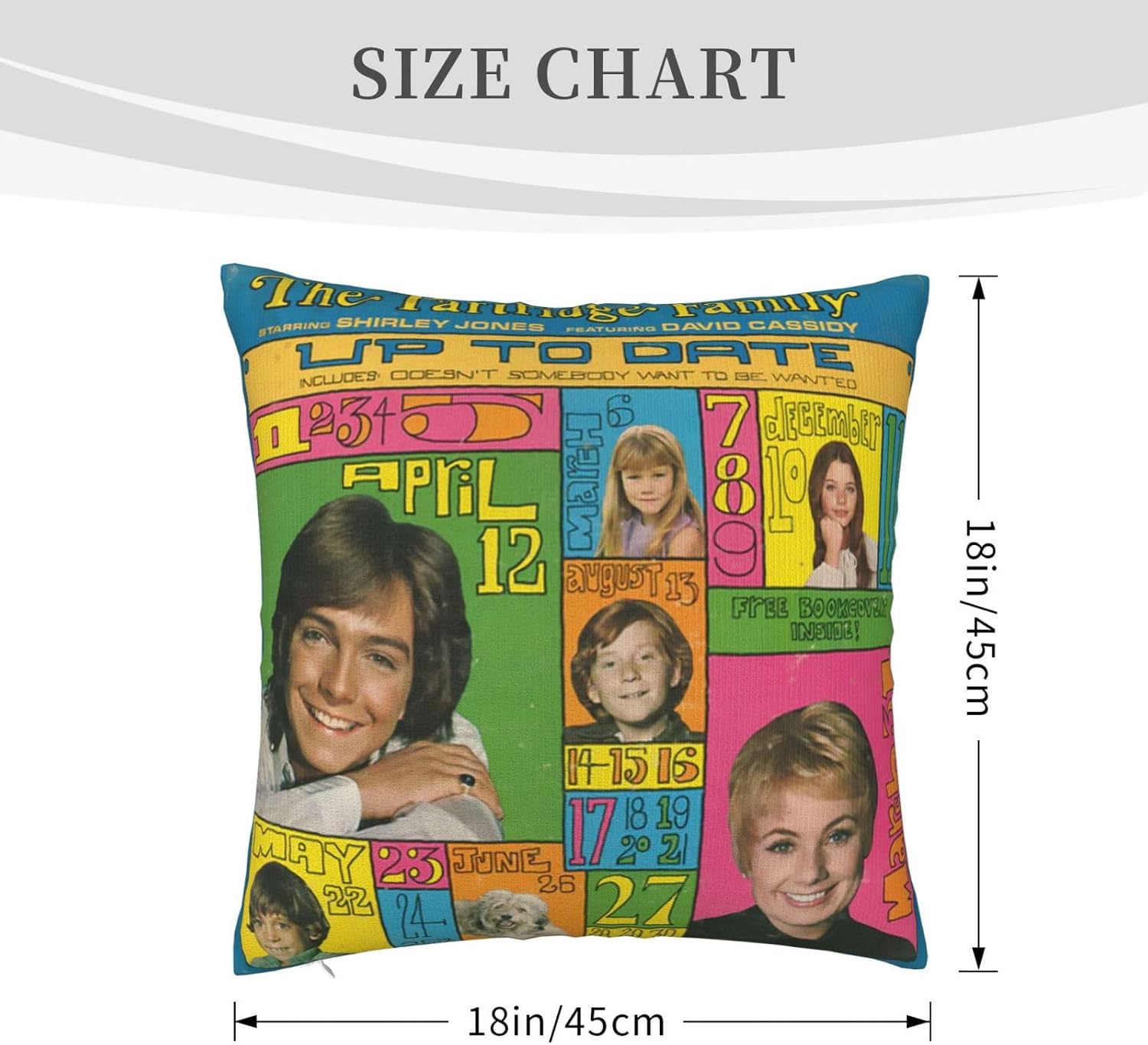 David Actor Cassidy – Fundas de almohada de 18 x 18 pulgadas, funda de almohada para exteriores para decoración de sofá