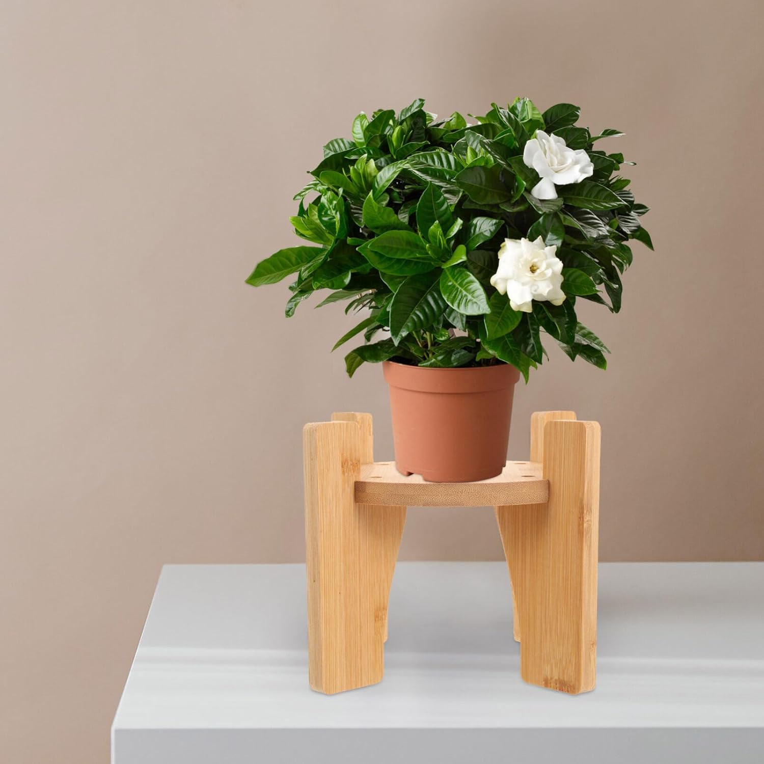 Angoily Soporte de madera creativa para botella de vino, soporte dispensador de plantas en maceta, soporte para jarra de bebida, soporte de