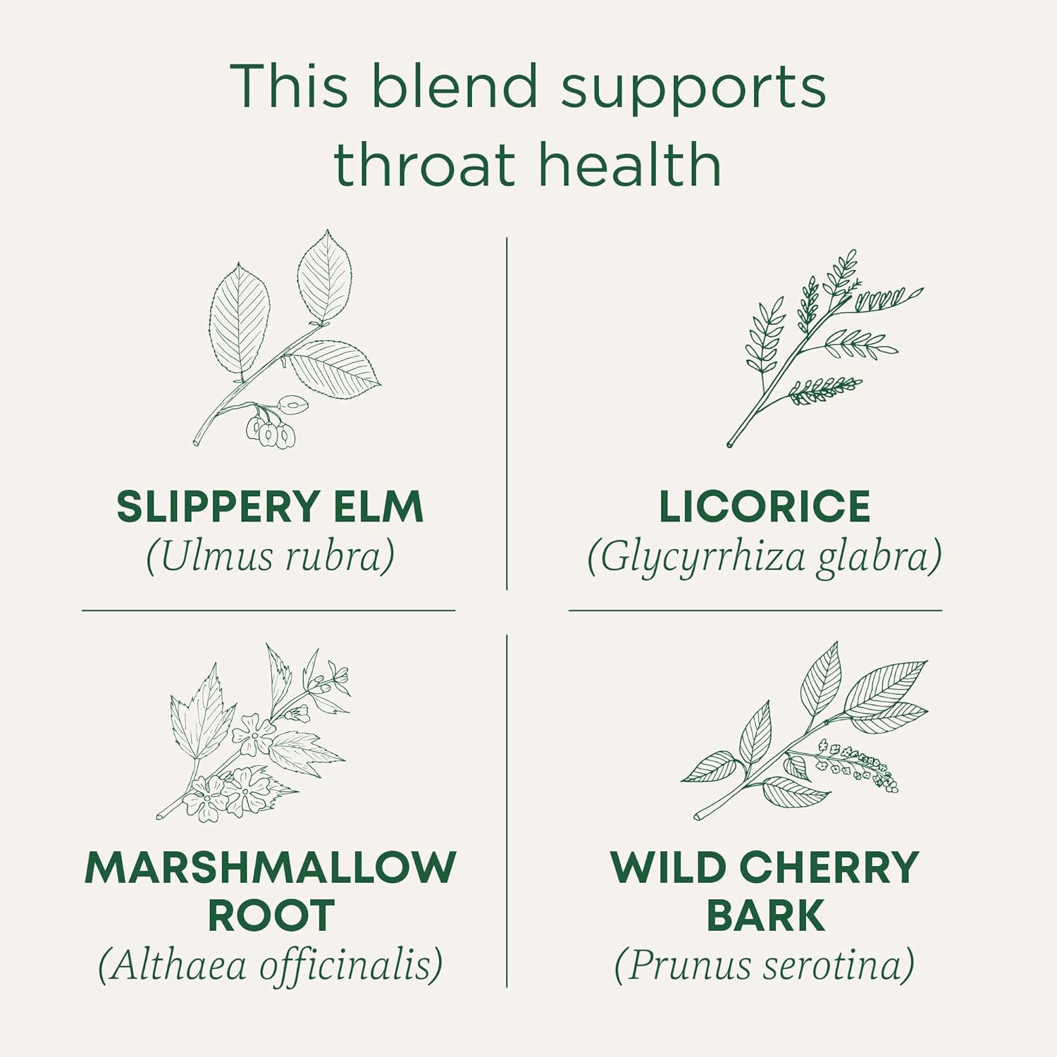 Traditional Medicinals Té, abrigo orgánico para la garganta, apoya la salud de la garganta, 16 bolsas de té