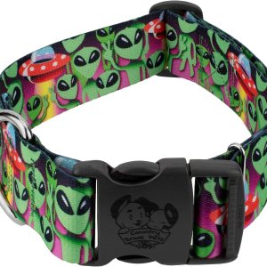 Country Brook Petz – Collar de perro de lujo Space Aliens – Colección Geek Chic con 4 diseños para cualquier mega fan (1 12 pulgadas, mediano) Country Brook Petz – Collar de perro de lujo Space Aliens – Colección Geek Chic con 4 diseños para cualquier mega fan (1 12 pulgadas, mediano)