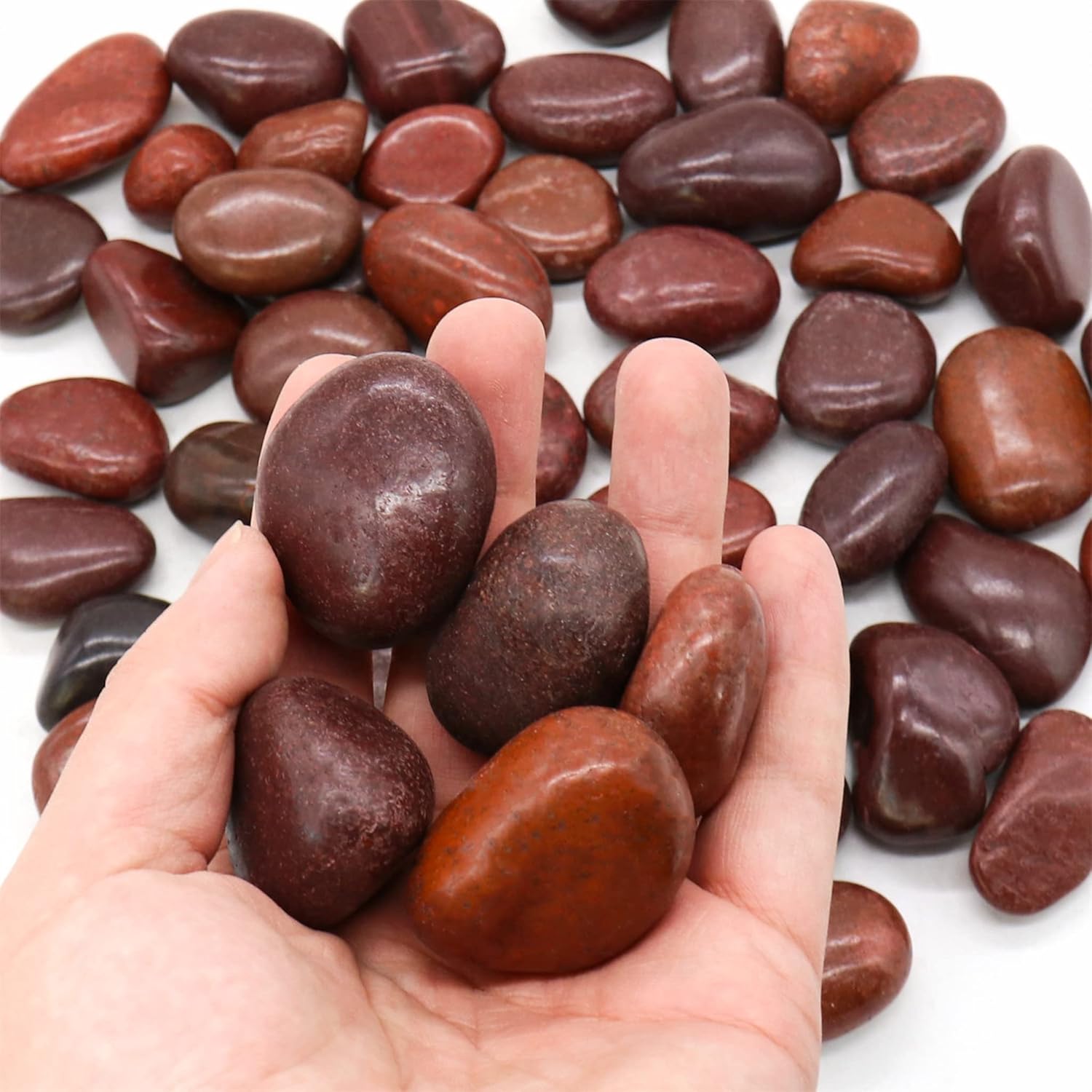 Koltose by Mash Piedras rojas pulidas de 10 libras. Rocas de  a 1 pulgada para plantas, jardín, paisajismo, suculentas, pecera, grava, terrario,