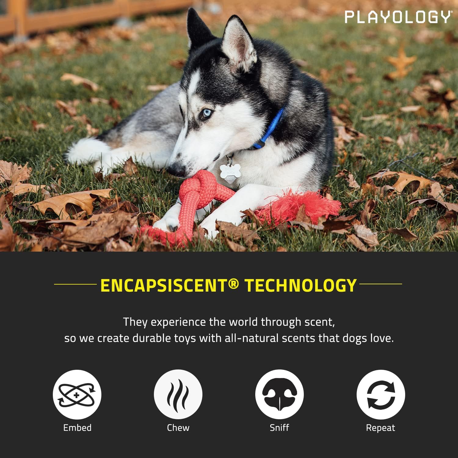 Playology Dri Tech – Juguete masticable para perros medianos (15 a 35 libras) Juguetes para perros con aroma a salsa navideña para masticadores