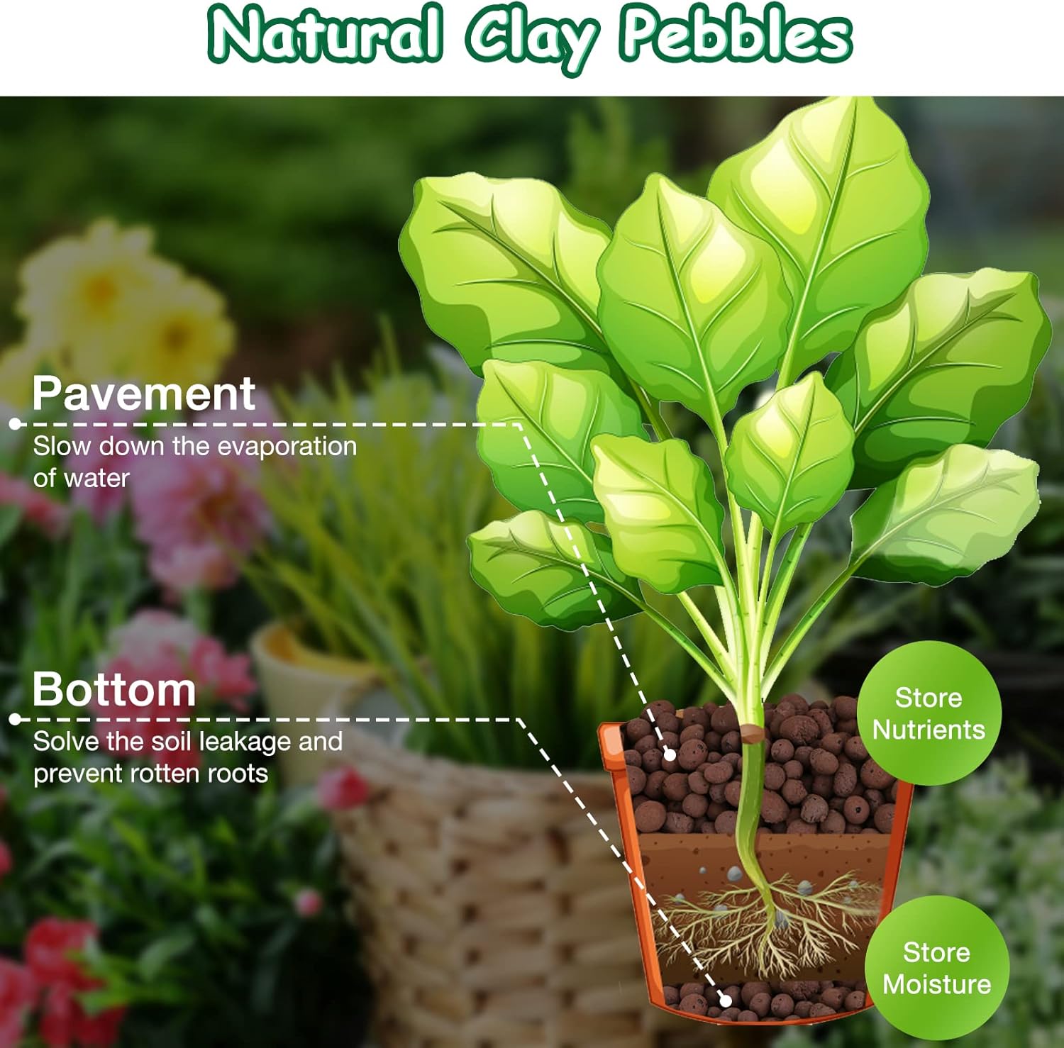 LECA – Guijarros de arcilla expandida orgánica de 5 libras, suministros hidropónicos de orquídea acuapónica para plantas de jardín de interiores y