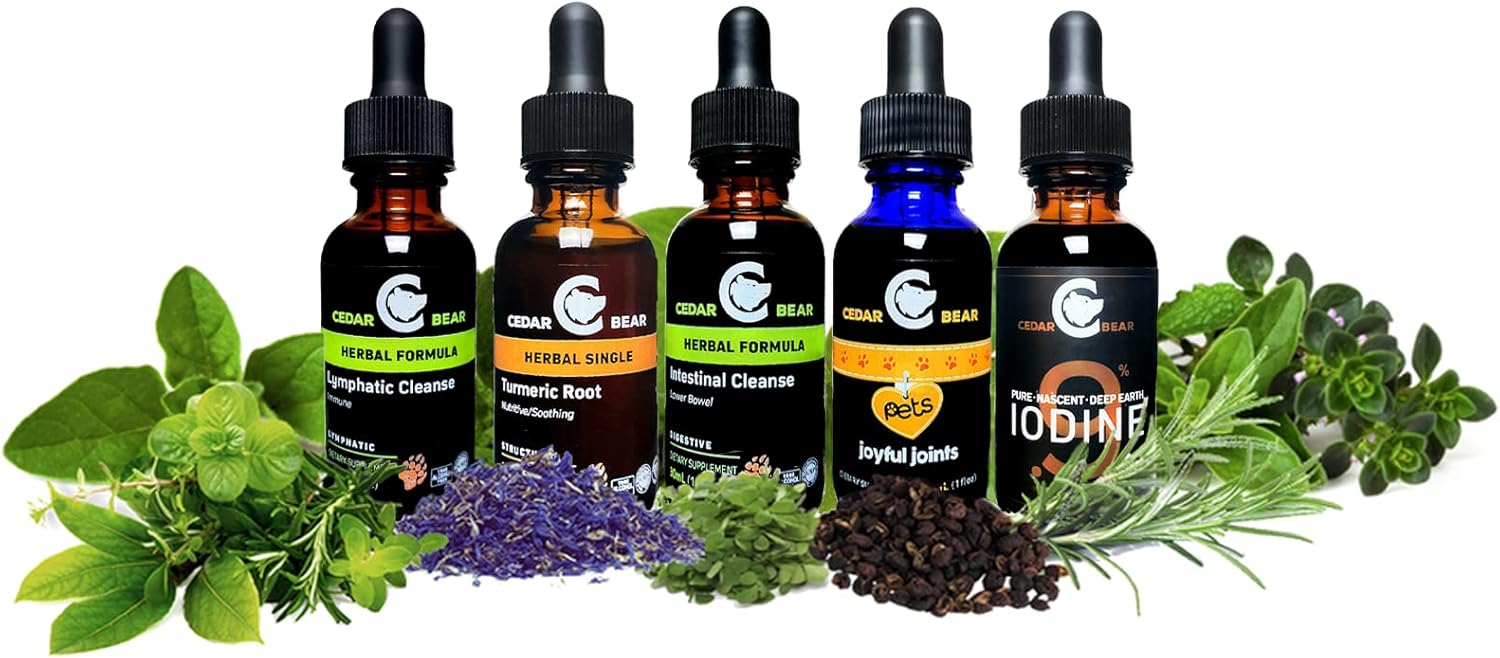Cedar Bear – Suplemento herbario líquido con adaptógenos que combaten la fatiga, gestiona el estrés y aumenta la energía, 2 onzas líquidas (1 unidad)