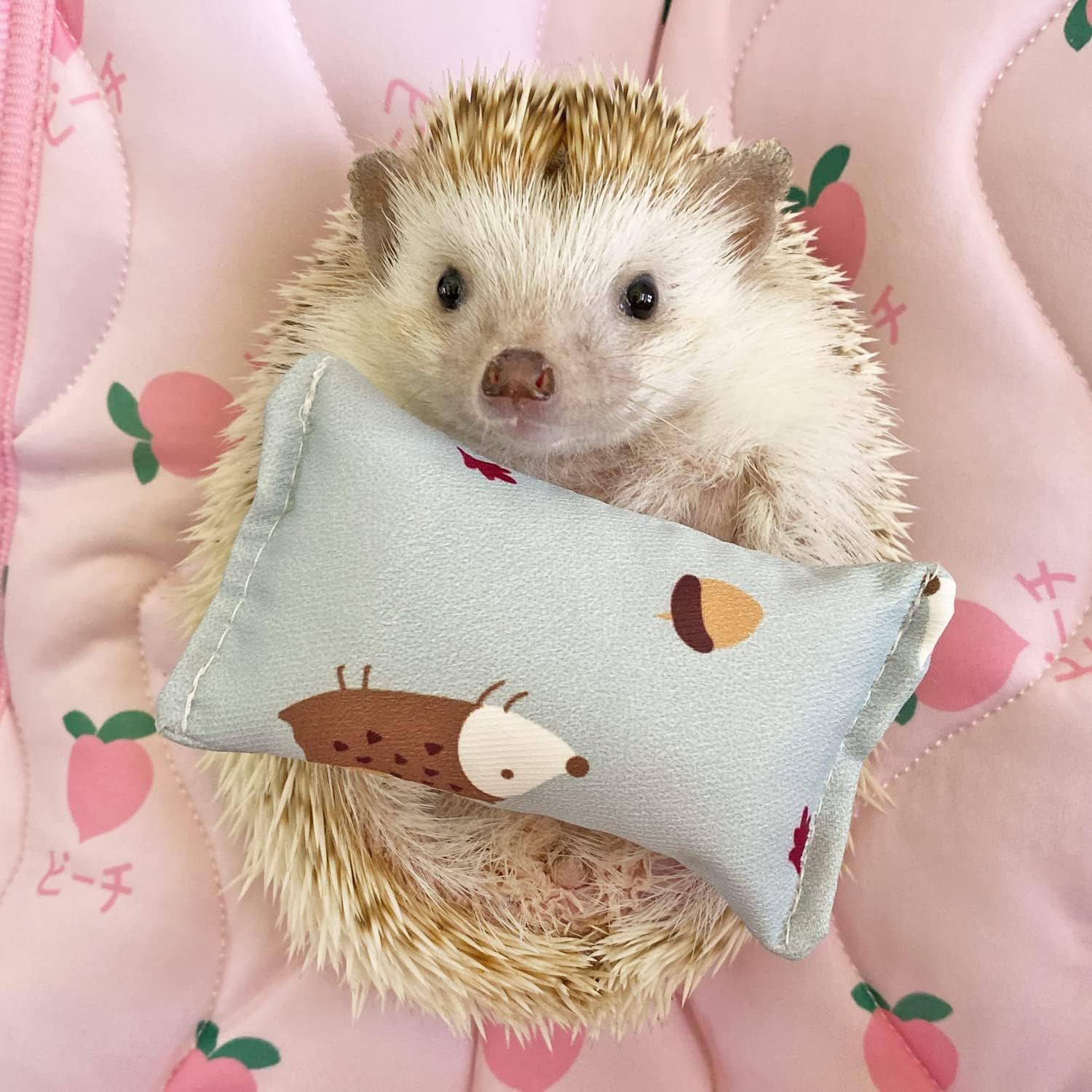 Ymid Select 4 mini almohadas de erizo para animales pequeños, decoración de hábitat, accesorios de jaula, suministros de erizo, accesorios para