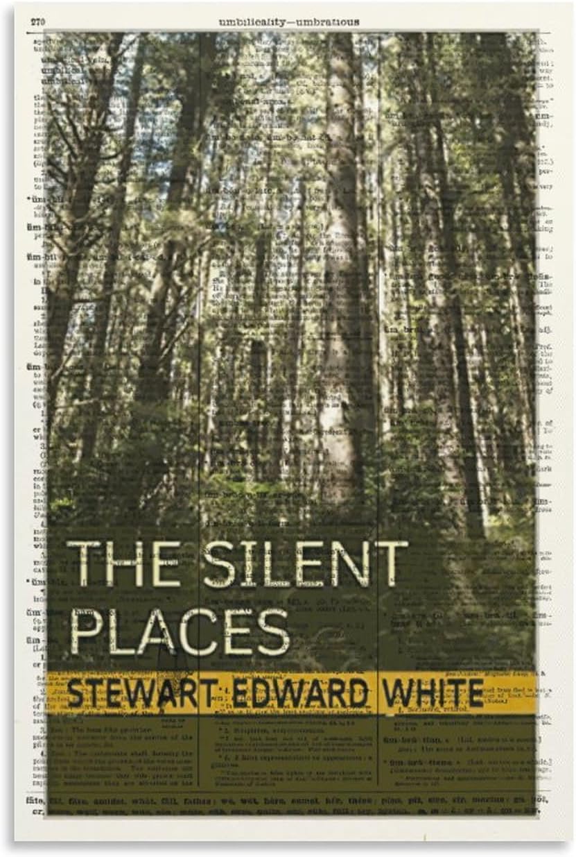 MOJDI A Quiet Place by Stuart Edward White. Book Cover Art Printed Poster-gigapixel-scale-2x Canvas Painting Wall Art Poster for Bedroom Living Room