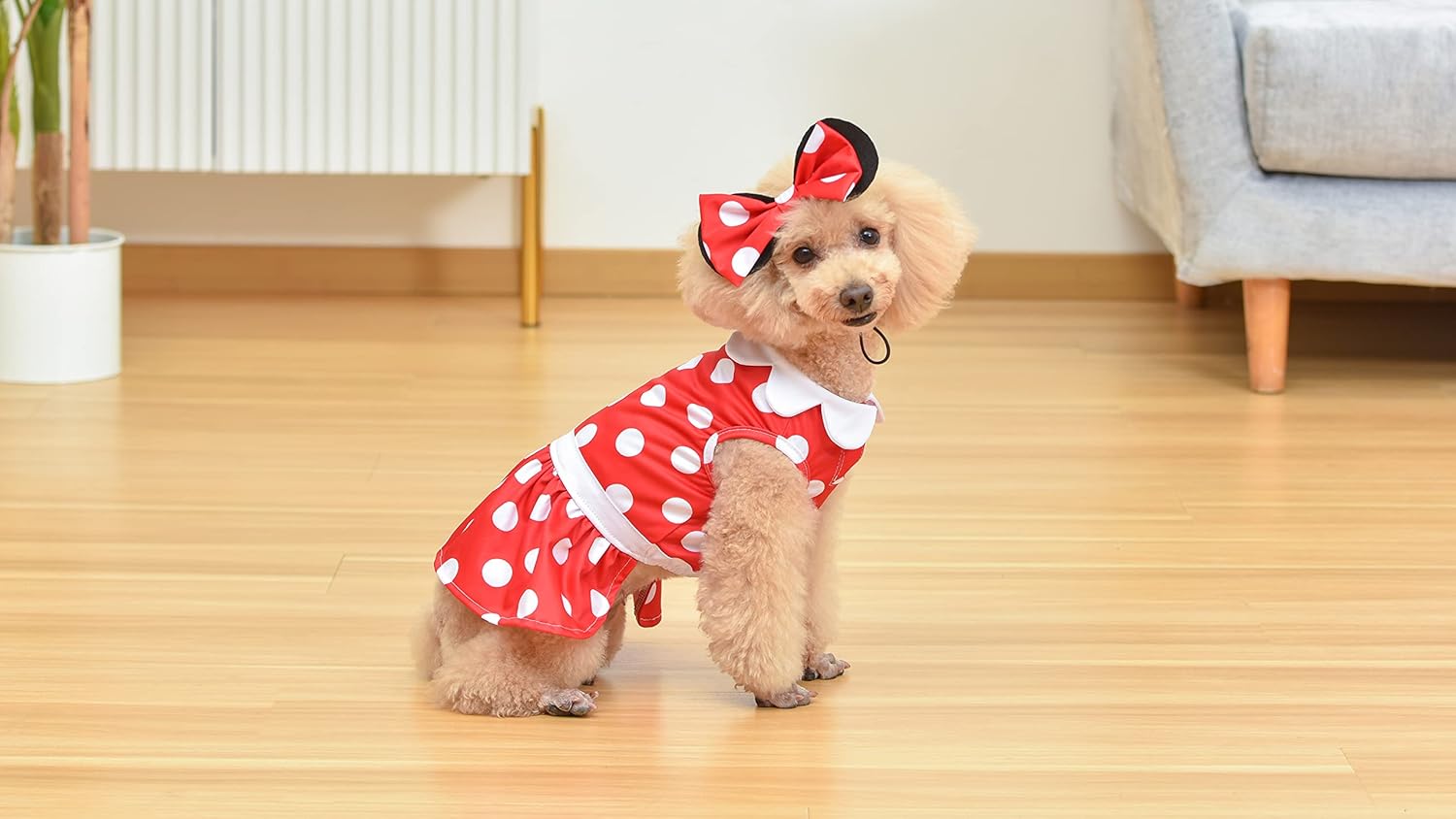 Disney for Pets Disfraz de Halloween de Minnie Mouse para perros, grande, disfraz de Halloween de Disney, divertidos disfraces de mascotas  Disfraz