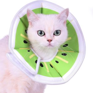 Pawfun Collar de cono de gato, suave, collar protector de recuperación para gatos para dejar de lamerse después de la cirugía, cómodo collar Pawfun Collar de cono de gato, suave, collar protector de recuperación para gatos para dejar de lamerse después de la cirugía, cómodo collar