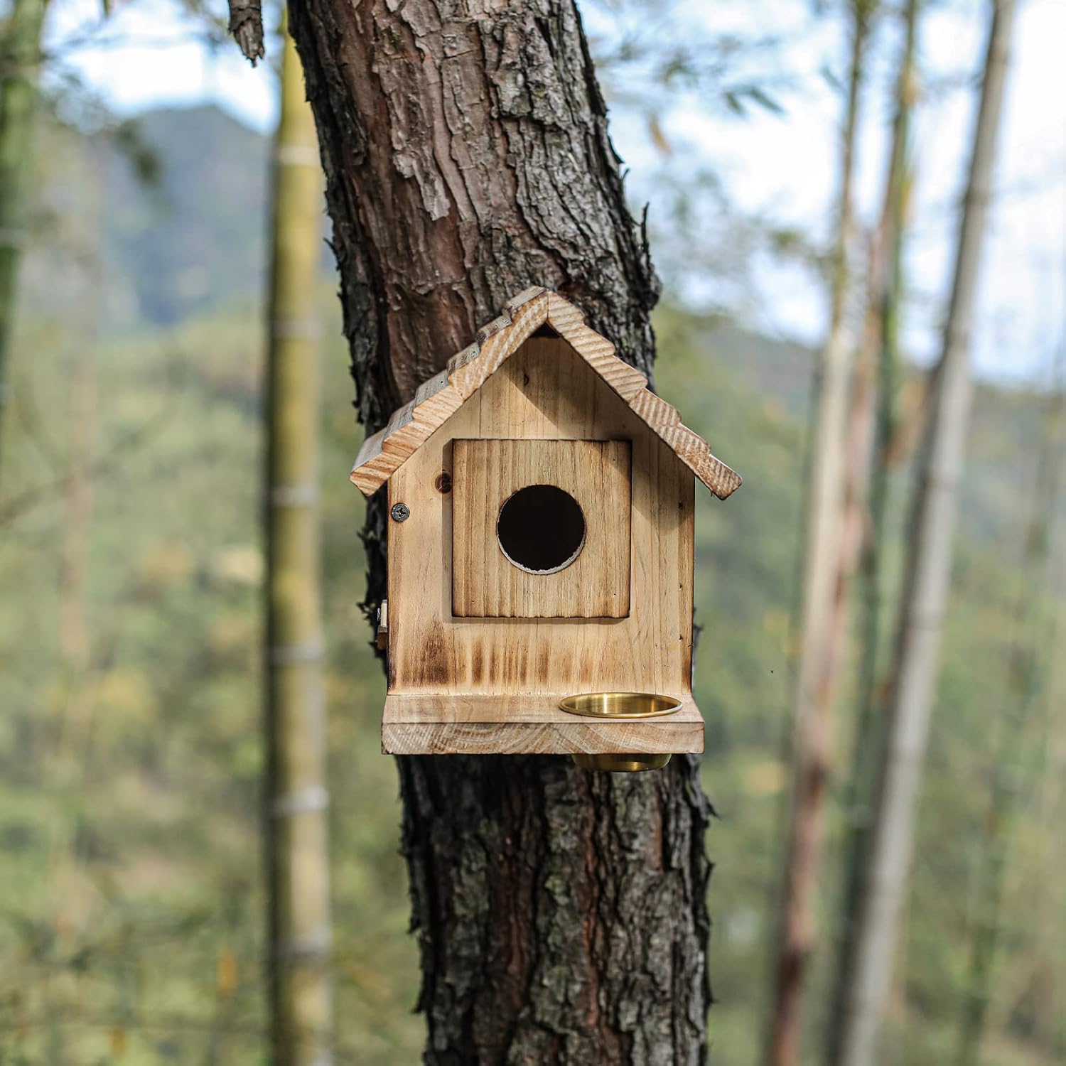 Casa para pájaros para exteriores, casa de pájaros azules de madera con protector de depredadores, caja de anidación de pájaros silvestres,