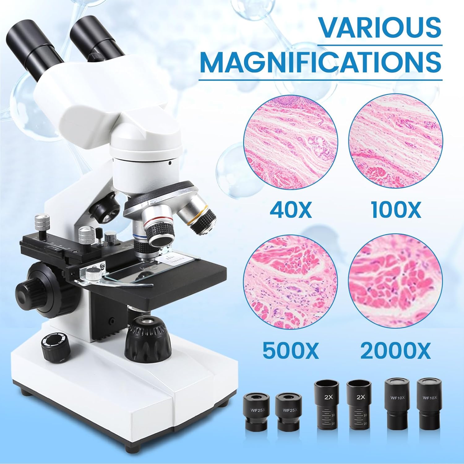 Crspexil Microscopios binoculares compuestos 40X-2000X con cámara de 2.0 mp, con diapositivas preparadas para microscopio 30p, para niños