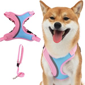 _ Juego de arnés y correa para perros pequeños y medianos, arnés ligero y suave para cachorros, juego de arnés ajustable y reflectante para _ Juego de arnés y correa para perros pequeños y medianos, arnés ligero y suave para cachorros, juego de arnés ajustable y reflectante para