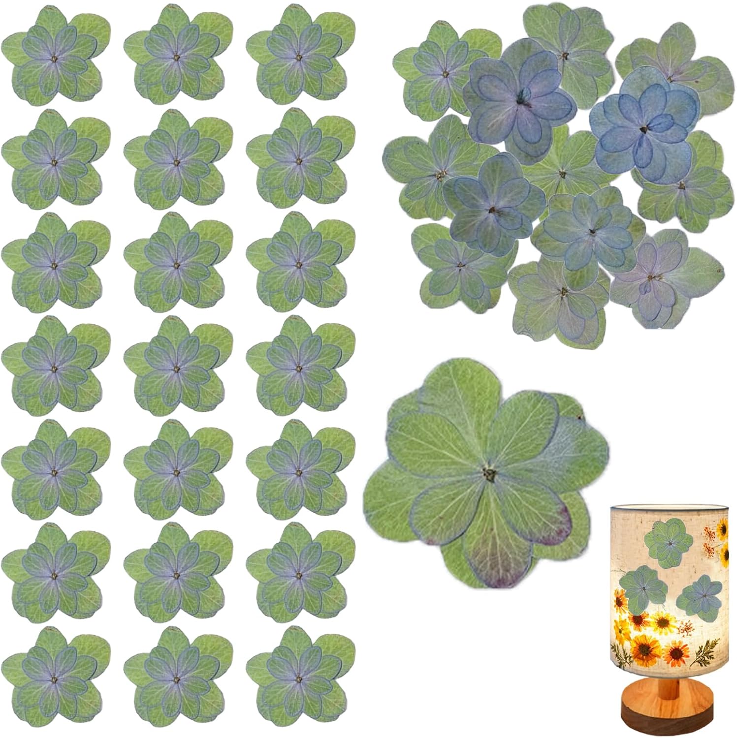 HEISENLIN 60 piezas de flores secas verdes hortensias dobles para adornos de resina, flores prensadas naturales para manualidades de resina,