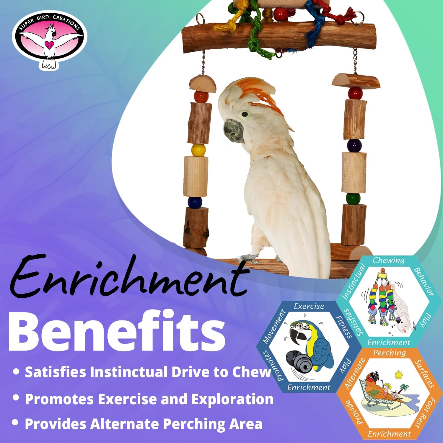 Super Bird Creations SB1159 Mega Swing Bird Toy – Columpio de ejercicio y enriquecimiento para amazonas, grises africanos, eclectos, cacatúas,