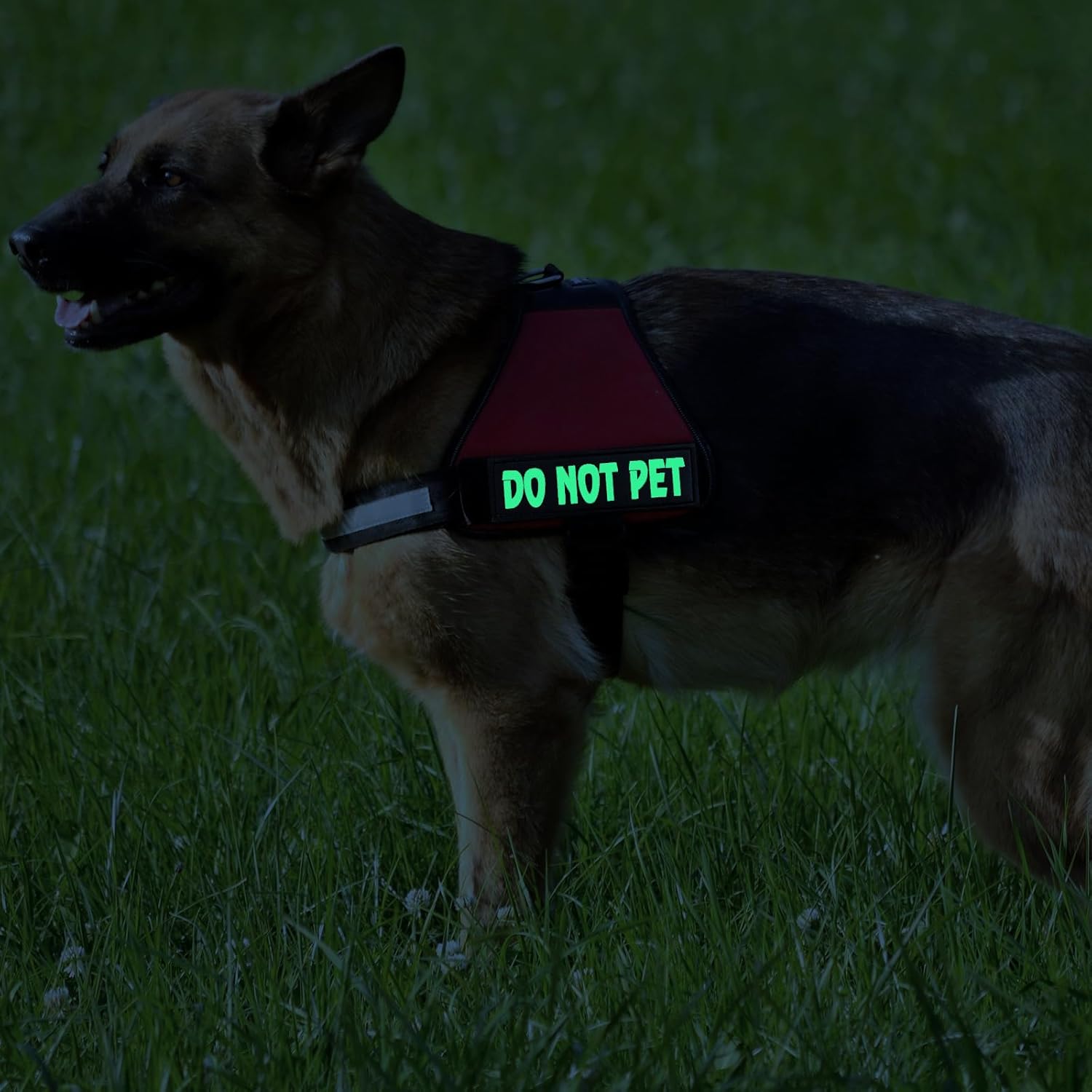 Paquete de 4 parches reflectantes para perros de servicio con gancho trasero, arnés táctico para perros en entrenamiento reflectantes y etiquetas