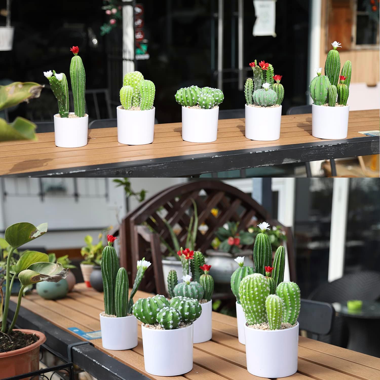 Cactus artificial de flores artificiales, suculentas, planta suculenta falsa de 9.8 pulgadas para decoración de escritorio, hogar, oficina, 1 unidad