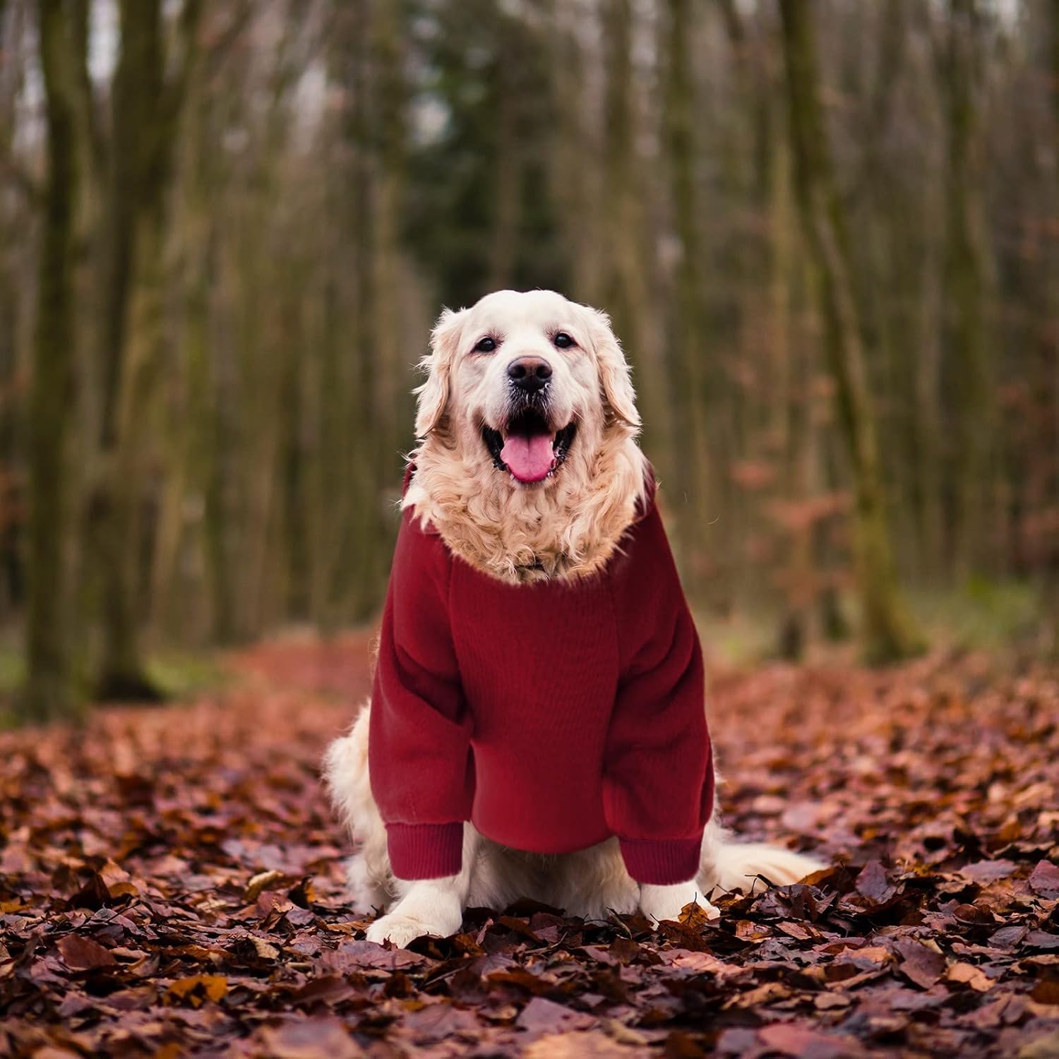 Camiseta con capucha para perro, teñido anudado, suave y cálida, sudadera con capucha para perro pequeño y mediano con bolsillo, chaqueta de forro