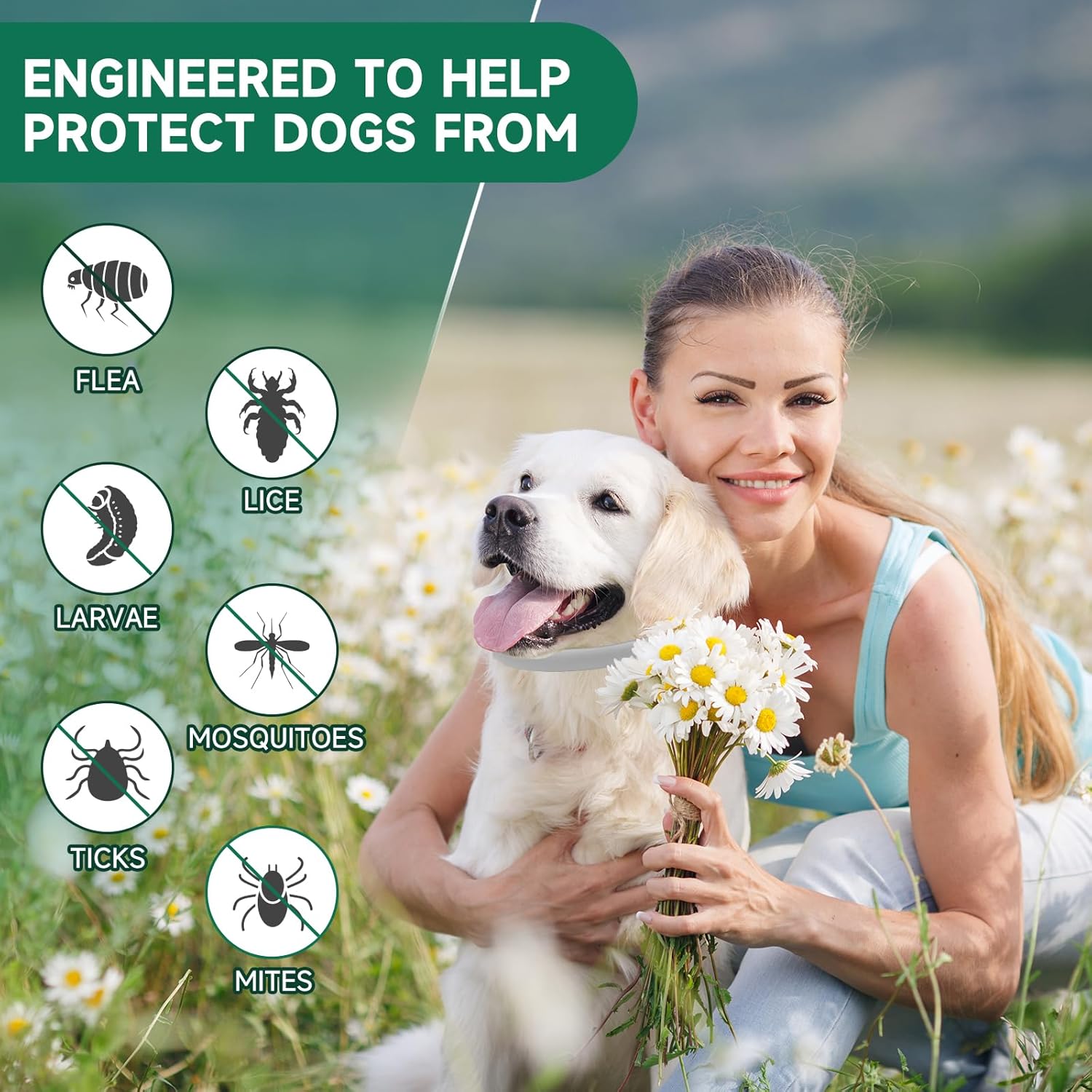 Paquete de 4 collares antipulgas para perros, tratamiento de pulgas y garrapatas de perro, 8 meses de protección contra pulgas y garrapatas para
