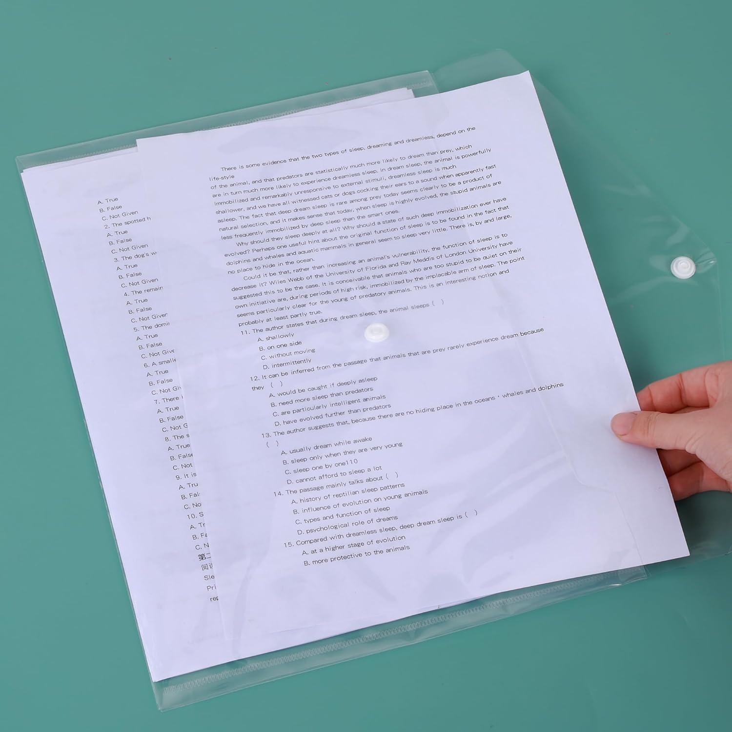 Andify 24 sobres de plástico de polietileno, carpetas de documentos transparentes, carpetas de archivos, productos de archivo, carpeta organizadora