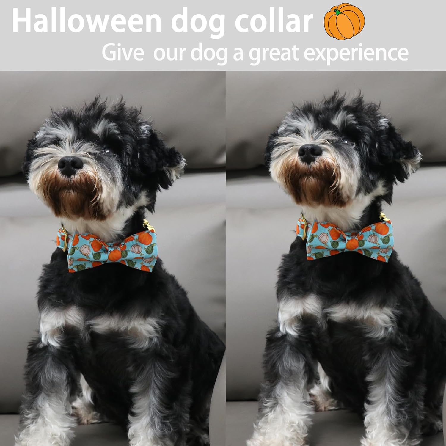 ARING PET Collar de perro de Halloween de algodón con diseño de calabaza con lazo, ajustable de calabaza azul, collares para cachorros con hebilla