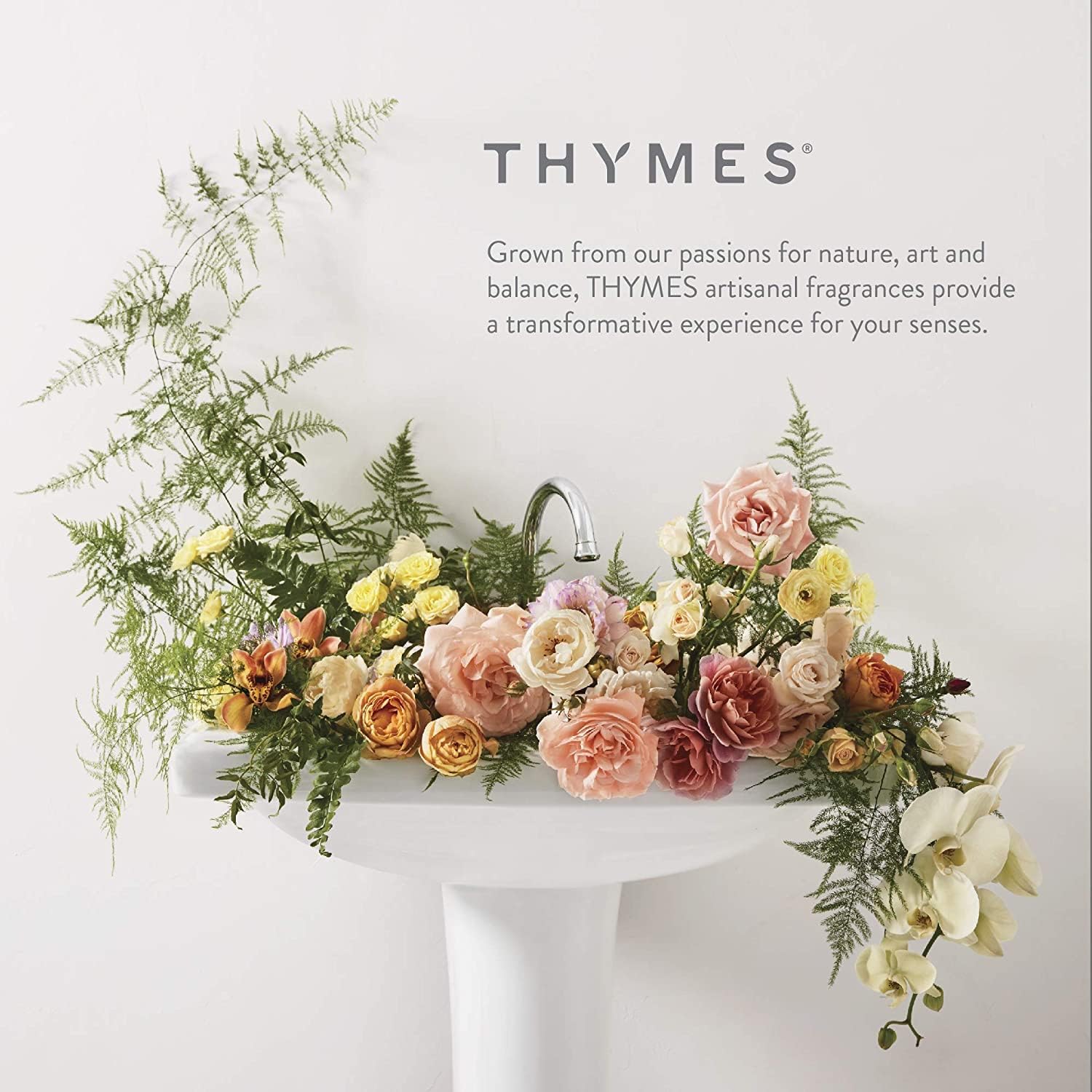 Thymes Jabón líquido para lavavajillas de eucalipto, jabón líquido ecológico para lavar platos, repuesto de jabón líquido para platos, suministros