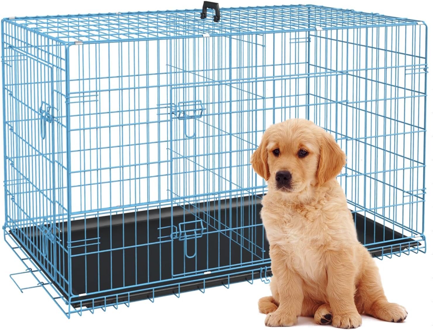 Petmate – Jaulas plegables de alambre de metal, de 24 pulgadas, para perros grandes, para exteriores e interiores, con doble puerta, bandeja