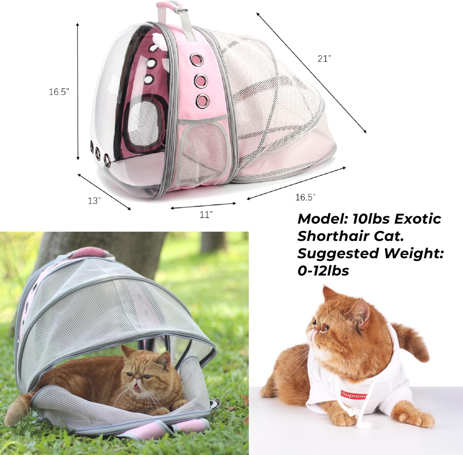 Lollimeow – Mochila para transporte de mascotas, mochila de burbuja para transportar gatos y cachorros, aprobada para aerolíneas, diseñada para