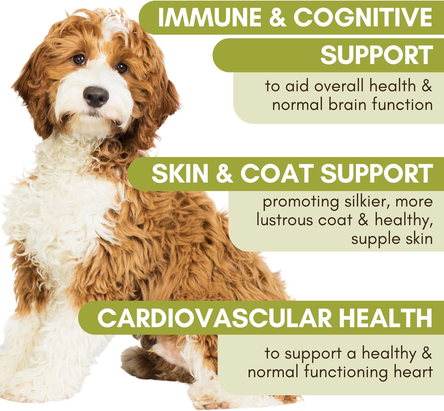 Wholistic Pet Organics Aceite de salmón Aceite de salmón salvaje de Alaska de aguas profundas para perros – Aceite de pescado Omega 3 para perros