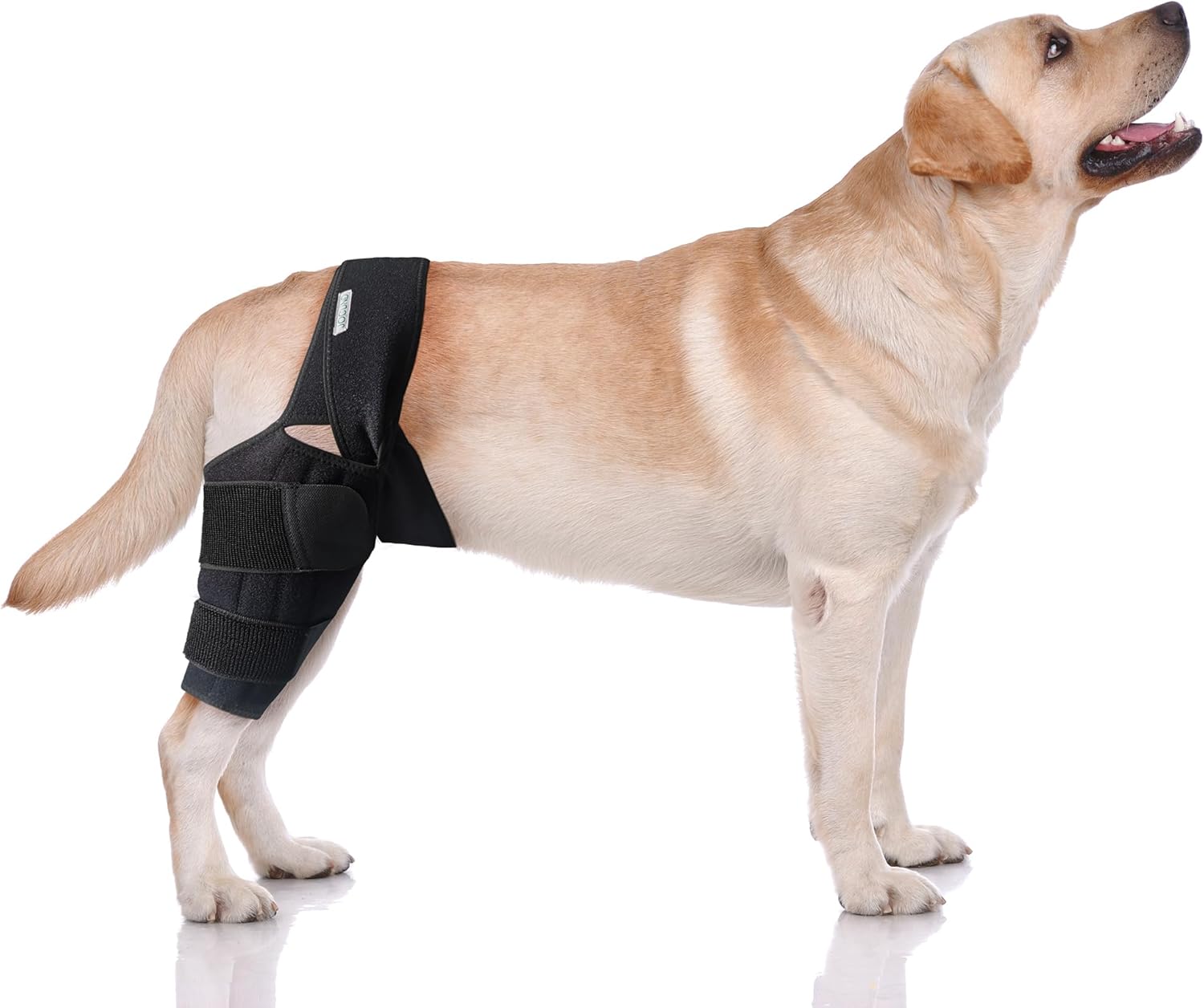 Rodillera de perro para pierna trasera de ACL desgarrada, soporte de pierna de perro para pierna trasera con soporte de metal, soporte de ACL para