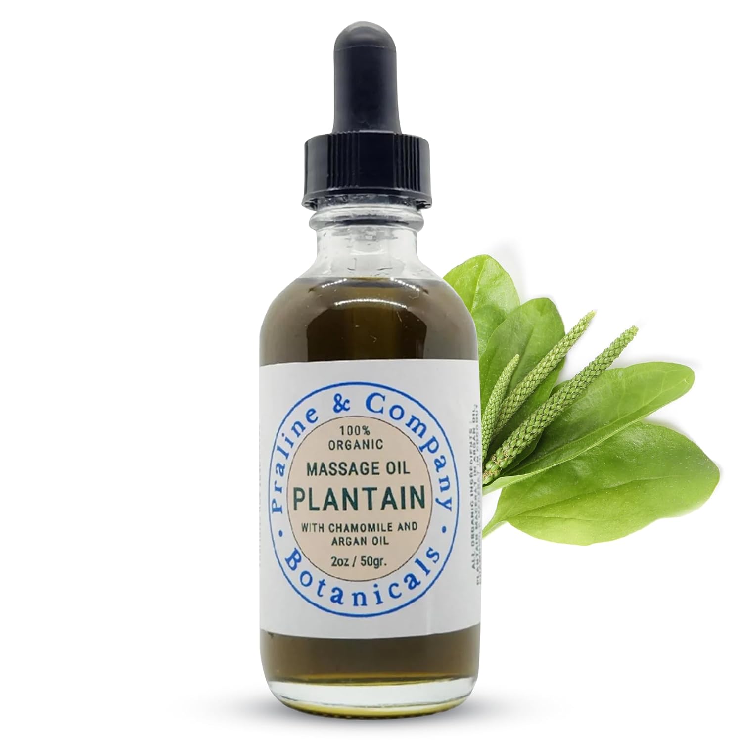 Plantain Massage Oil for Deep Relaxation and Wellness – Moisturize Your Skin – 100% Organic & Natural – Handmade with Plantain Leaves in Argan Oil,