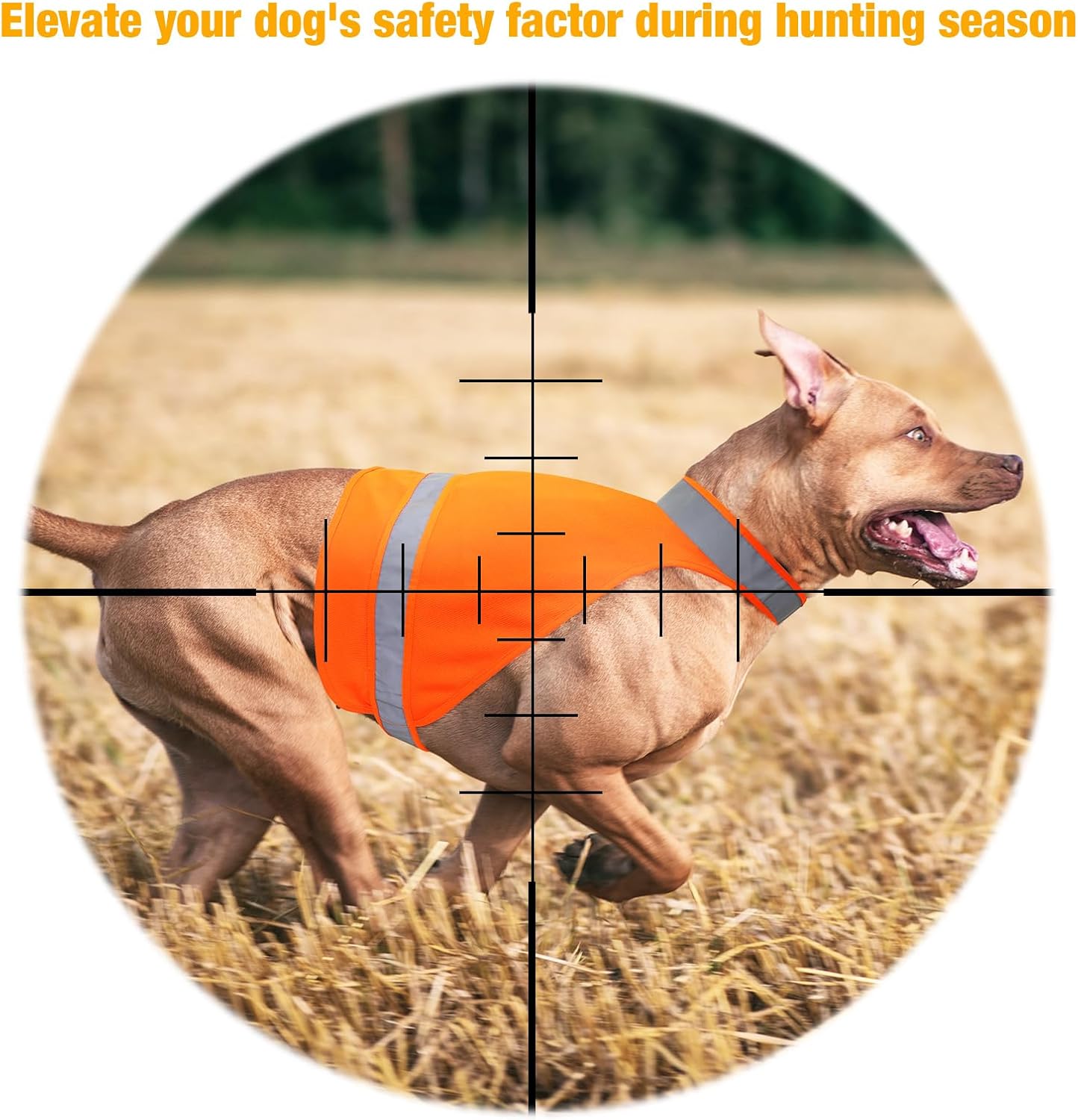 Chaleco reflectante para perro de 2 piezas para caza, chaleco de seguridad para perro naranja brillante de alta visibilidad, chaqueta reflectante